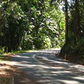 D'Aguilar National Park