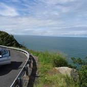Rex Lookout