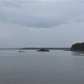 Lake Cootharaba (Noosa Everglades)