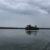 Lake Cooroibah (Noosa Everglades)