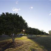 Worley Park