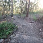 Mount Gravatt Outlook Reserve - Summit Track
