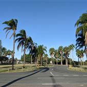 Pelican Park
