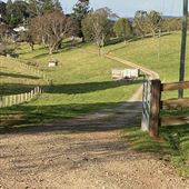 Back Creek Farm