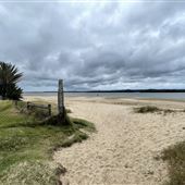Cabbage Tree Point
