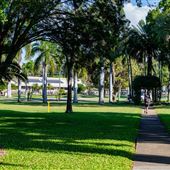 Apex Park