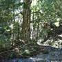 Austinville Rock Pools