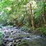 Austinville Rock Pools