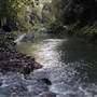 Austinville Rock Pools