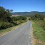 Rural Country Valley Scenic Back Road