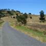 Rural Country Valley Scenic Back Road