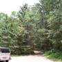 Coochin Creek - Pine Plantation / Qld State Forest