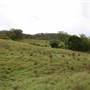 Cedar Glen Farmstay