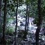 Whitsundays - Finch Hatton Gorge