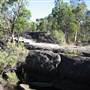 Warwick Region - Girraween National Park