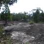 Warwick Region - Girraween National Park