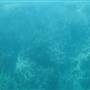 Hardy Reef