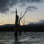Lake Tinaroo