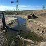 Longreach Landscape