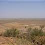 Longreach Landscape