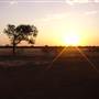 Longreach Landscape
