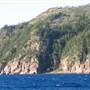 Hayman Island Resort
