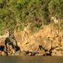 Maureens Cove (Hook Island)