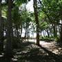 Midge Point Beach