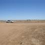 Longreach Region - Morella