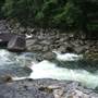 Mossman Gorge