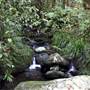 Mossman Gorge