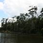 Mulgrave River (Cairns Region)