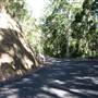 Mt Glorious