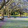 New Farm Park