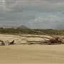 Noosa North Shore