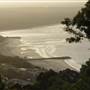 Noosa Beach