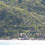 Picnic Bay (Magnetic Island)