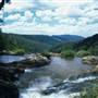 Purling Brook Falls - Springbrook National Park