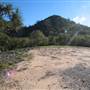 Radical Bay (Magnetic Island)