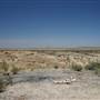 Rangelands Station