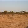 Rangelands Station