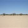 Rangelands Station