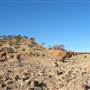 Rangelands Station