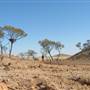 Rangelands Station