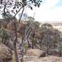 Rangelands Station