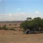 Rangelands Station