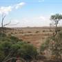 Rangelands Station