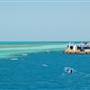 Hardy Reef (Reefworld Plantoon)