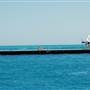 Hardy Reef (Reefworld Plantoon)