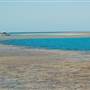 Hardy Reef (Reefworld Plantoon)